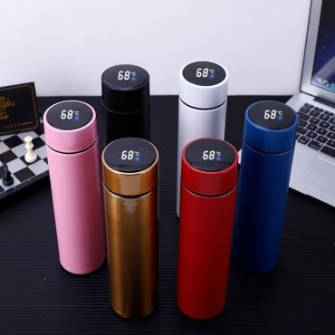 Temperature Display Vacuum Insulated Water Bottle